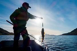 Fishing